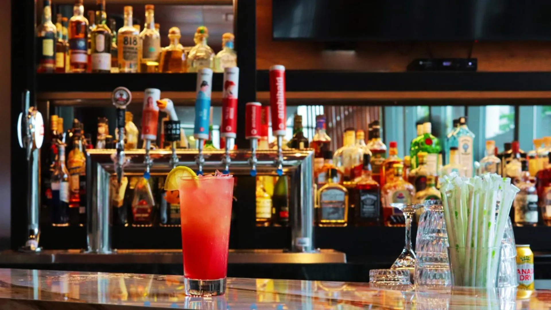 Discover the Best Hotels in Downtown Montreal